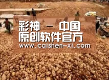 种植基地二