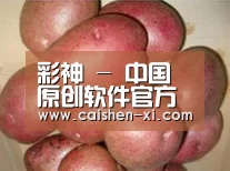 产品展示标题1