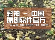 种植基地七