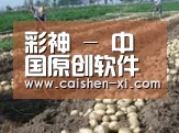 种植基地八