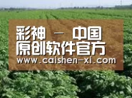 种植基地五