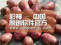 产品展示标题5