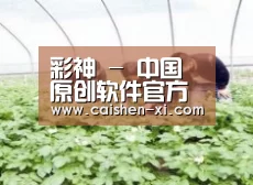 种植基地三