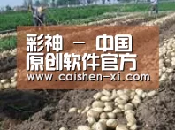 种植基地七(图1)