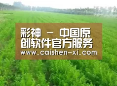 种植基地四