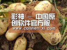 产品展示标题2