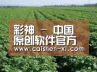 种植基地五(图1)