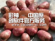 产品展示标题5(图1)