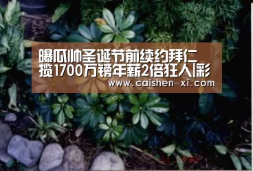 彩神xi走势分析