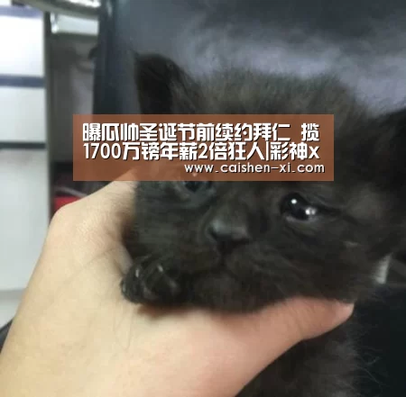 彩神xi走势分析