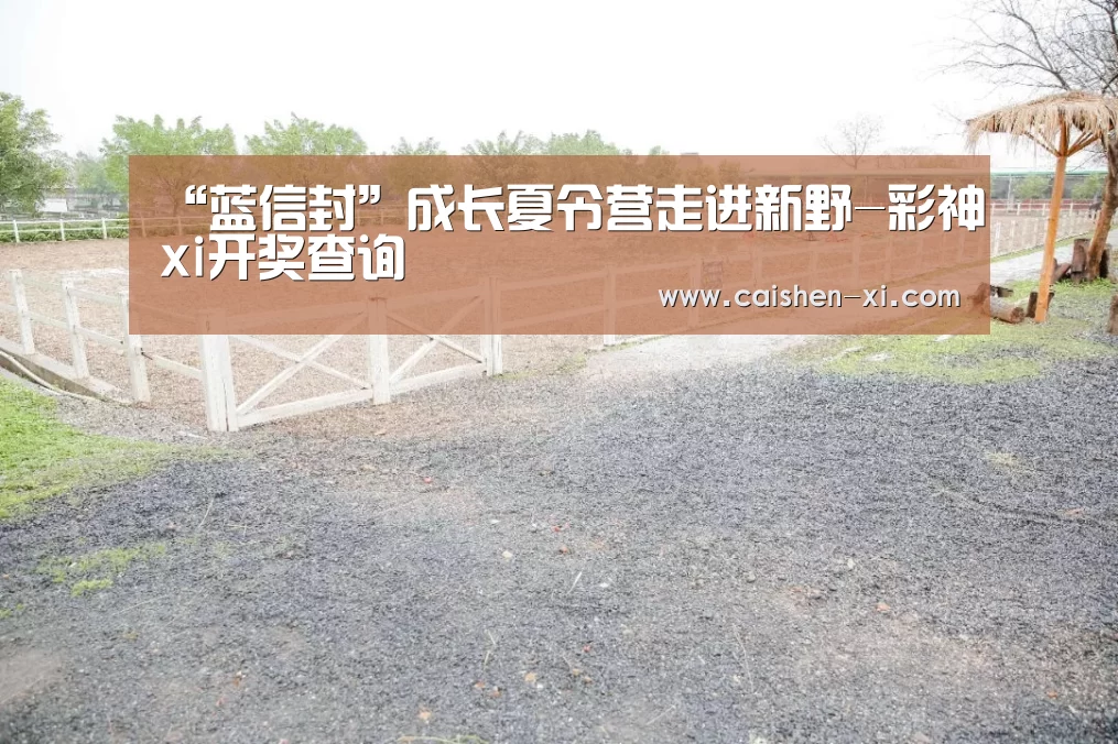 彩神xi走势分析