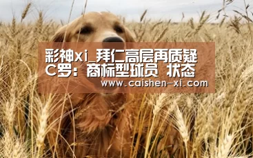 彩神xi走势分析
