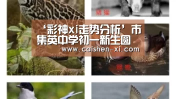 ‘彩神xi走势分析’市集英中学初一新生圆满完成军训任务(图2) 彩神xi走势分析