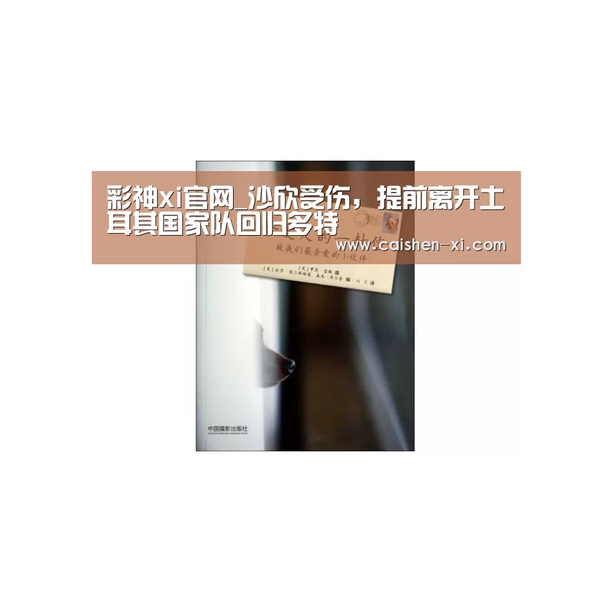 彩神xi官网_沙欣受伤,提前离开土耳其国家队回归多特(图4) 彩神xi开奖查询
