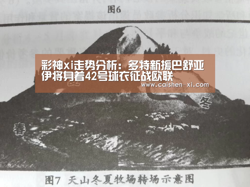 彩神xi走势分析:多特新援巴舒亚伊将身着42号球衣征战欧联(图2) 彩神xi走势分析