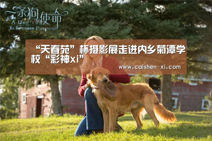 彩神xi开奖查询